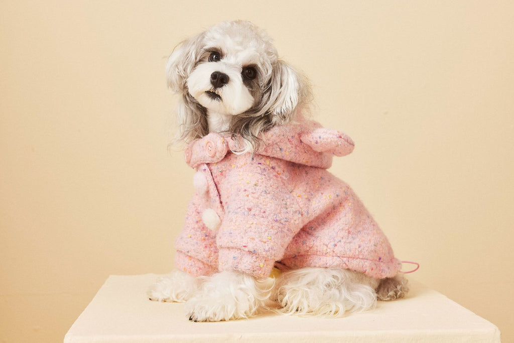 Teddy Ear Wool Hoodie