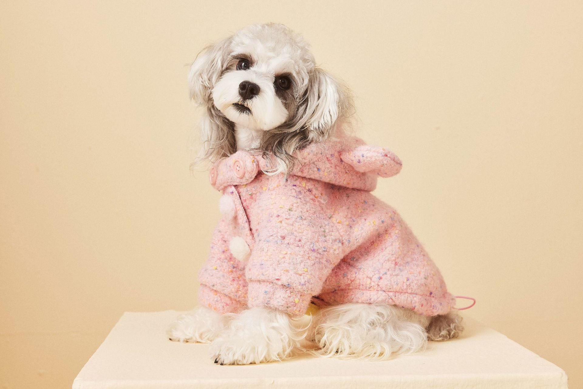 Teddy Ear Wool Hoodie