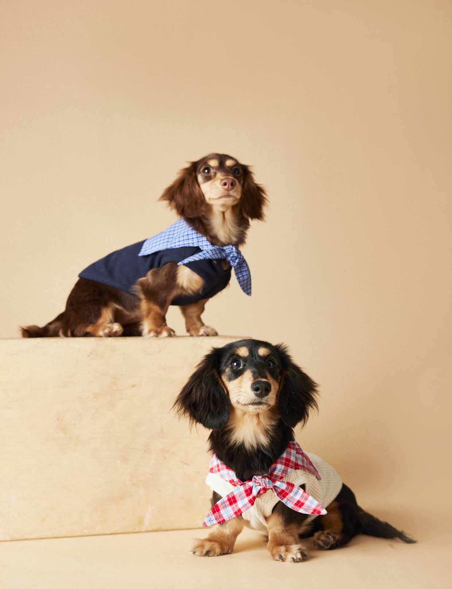 Plaid Collar Sleeveless Knit Vest