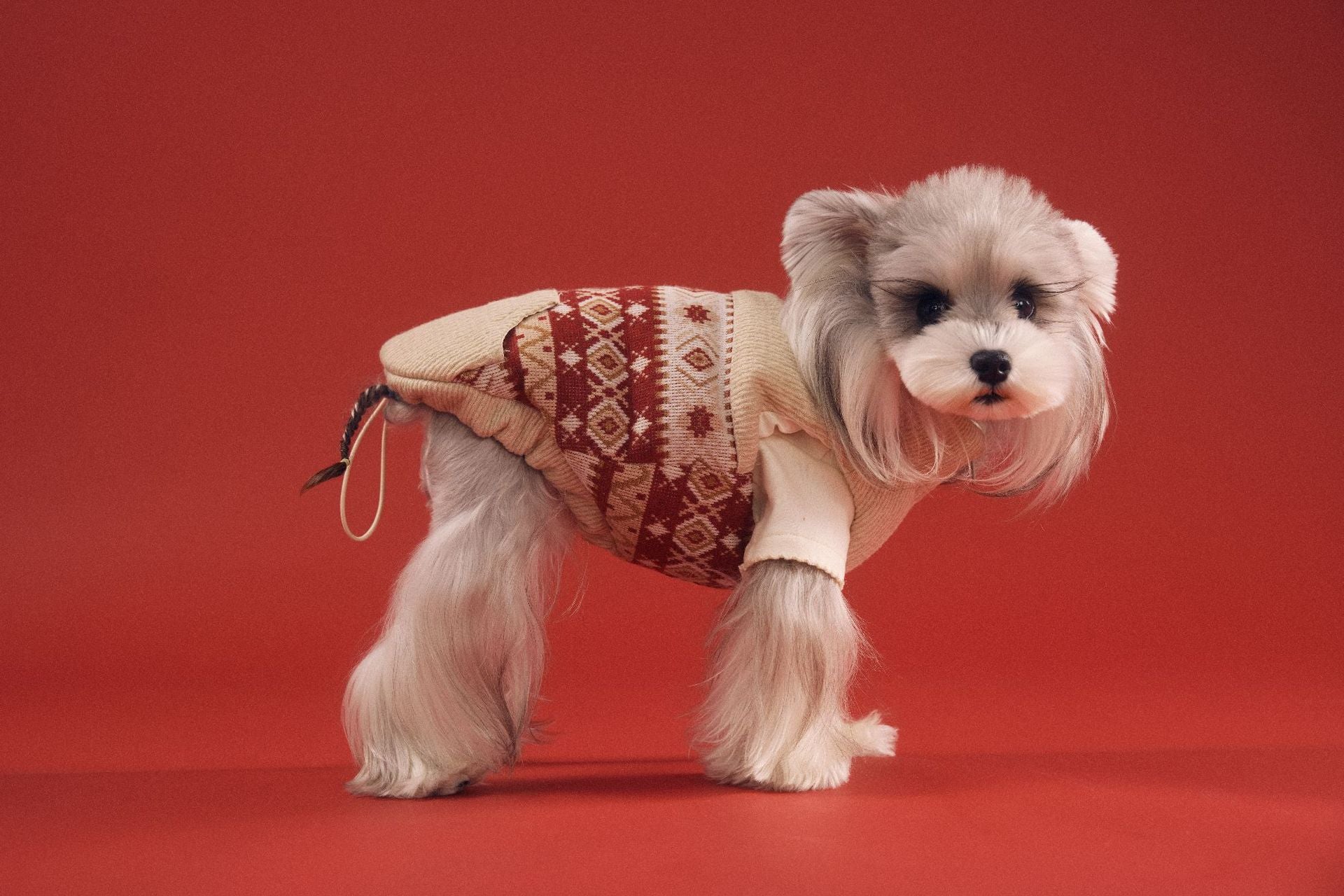 Fair Isle Knit Dog Vest with Corduroy Trim