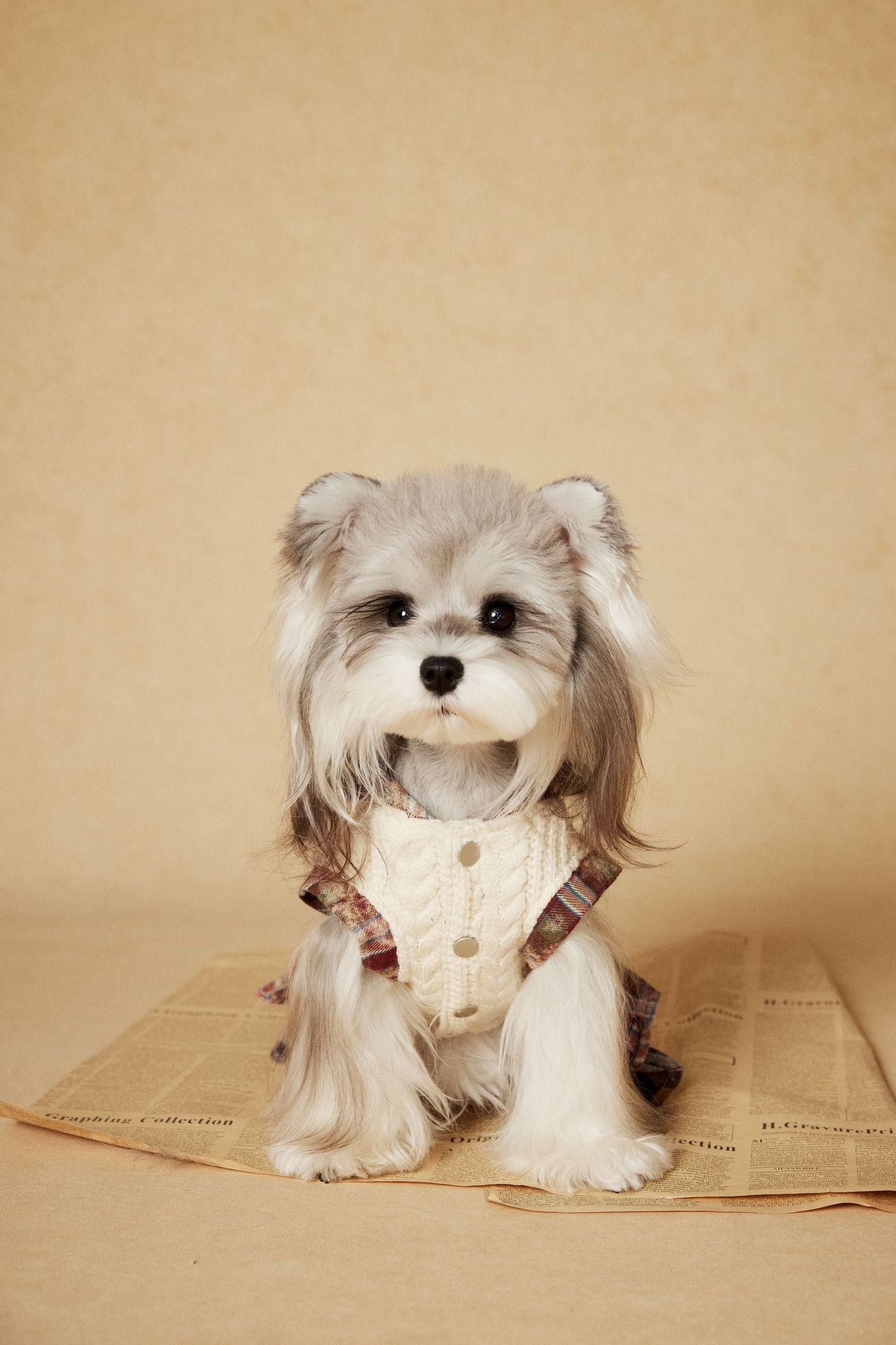 Cable Knit Plaid Dress