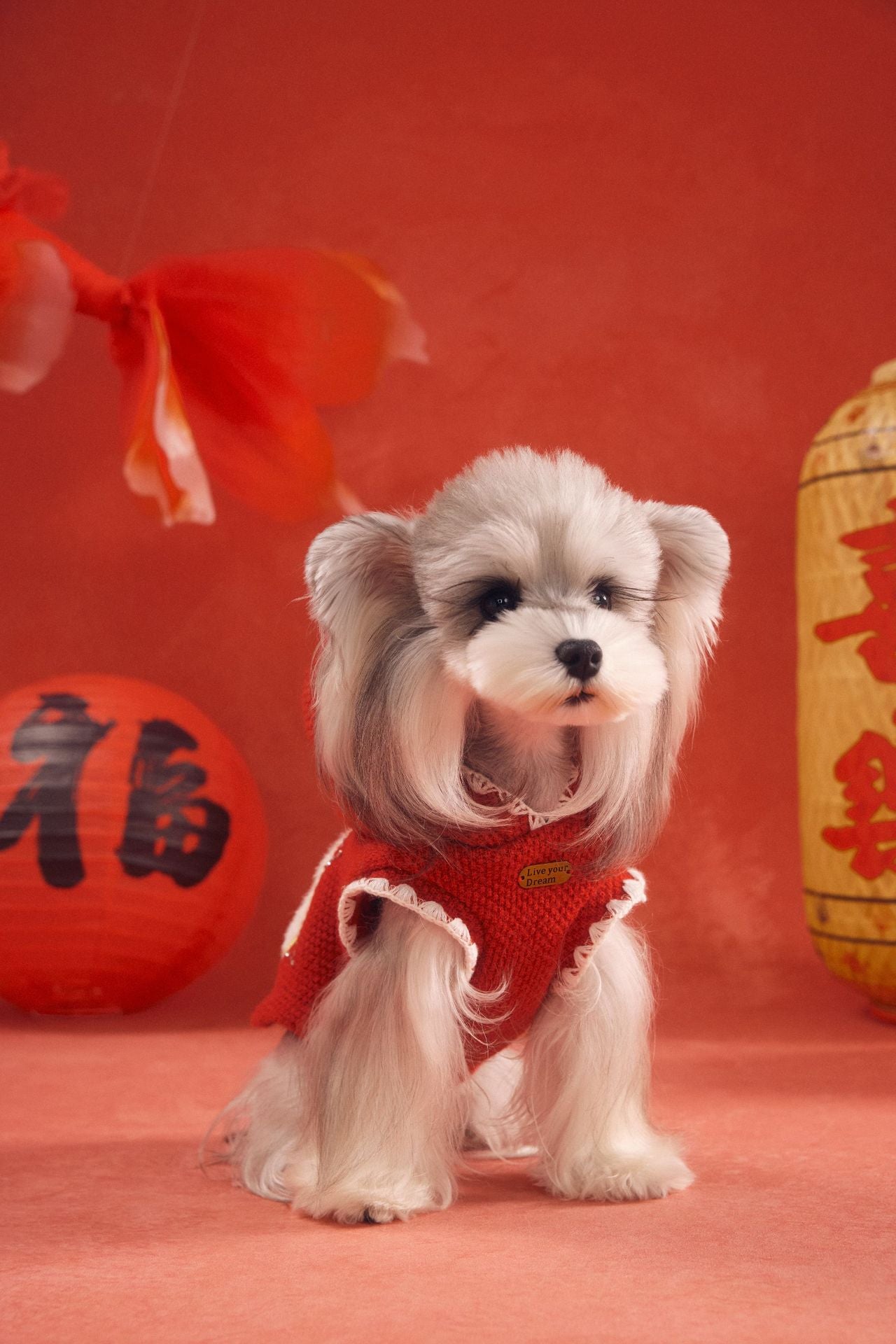 Hooded Pony Knit Vest