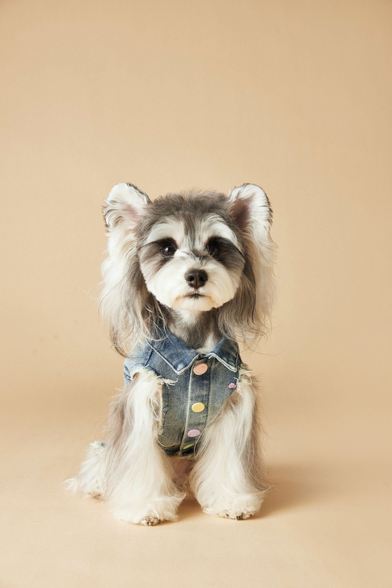 Retro Fringe Denim Vest