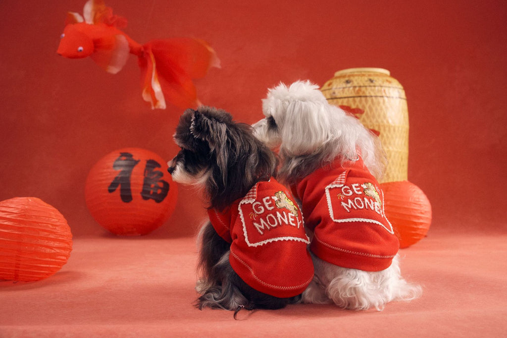 Lucky Get Money Pony Sweat Vest