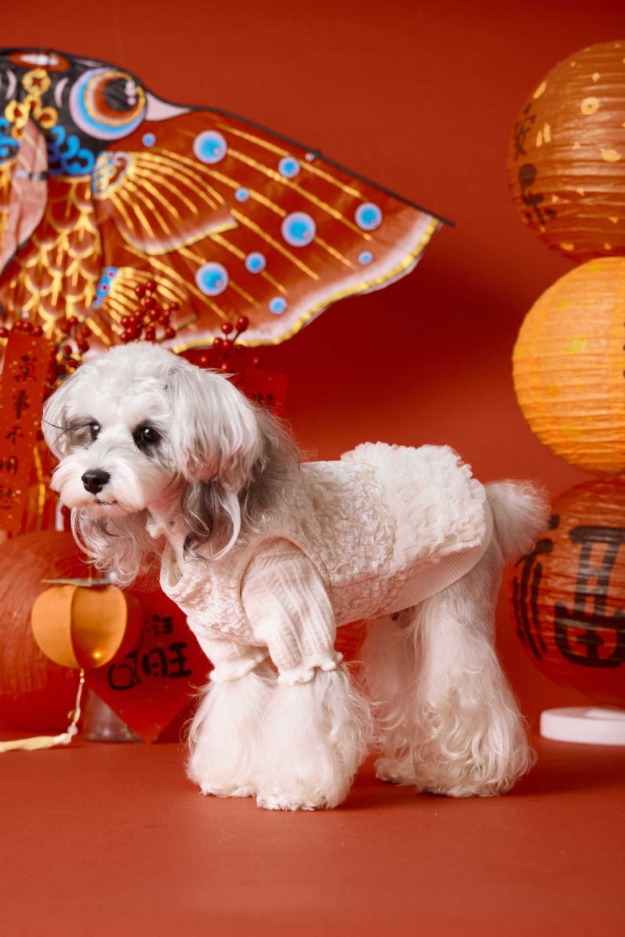 Chic Tweed Ruffle Dress for Dogs