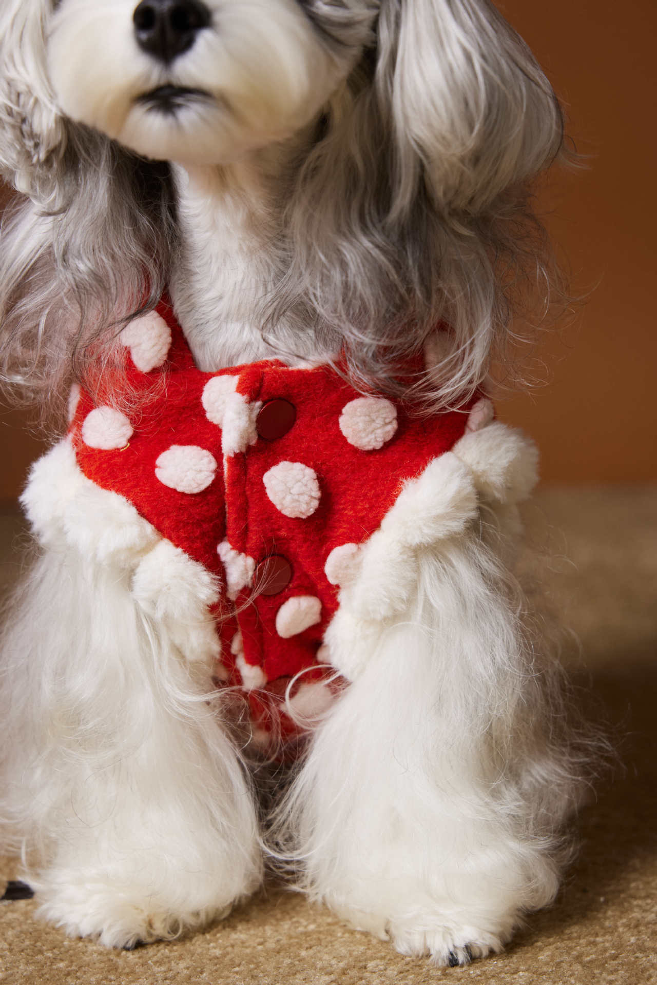 Polka Dot Hooded Fleece Vest