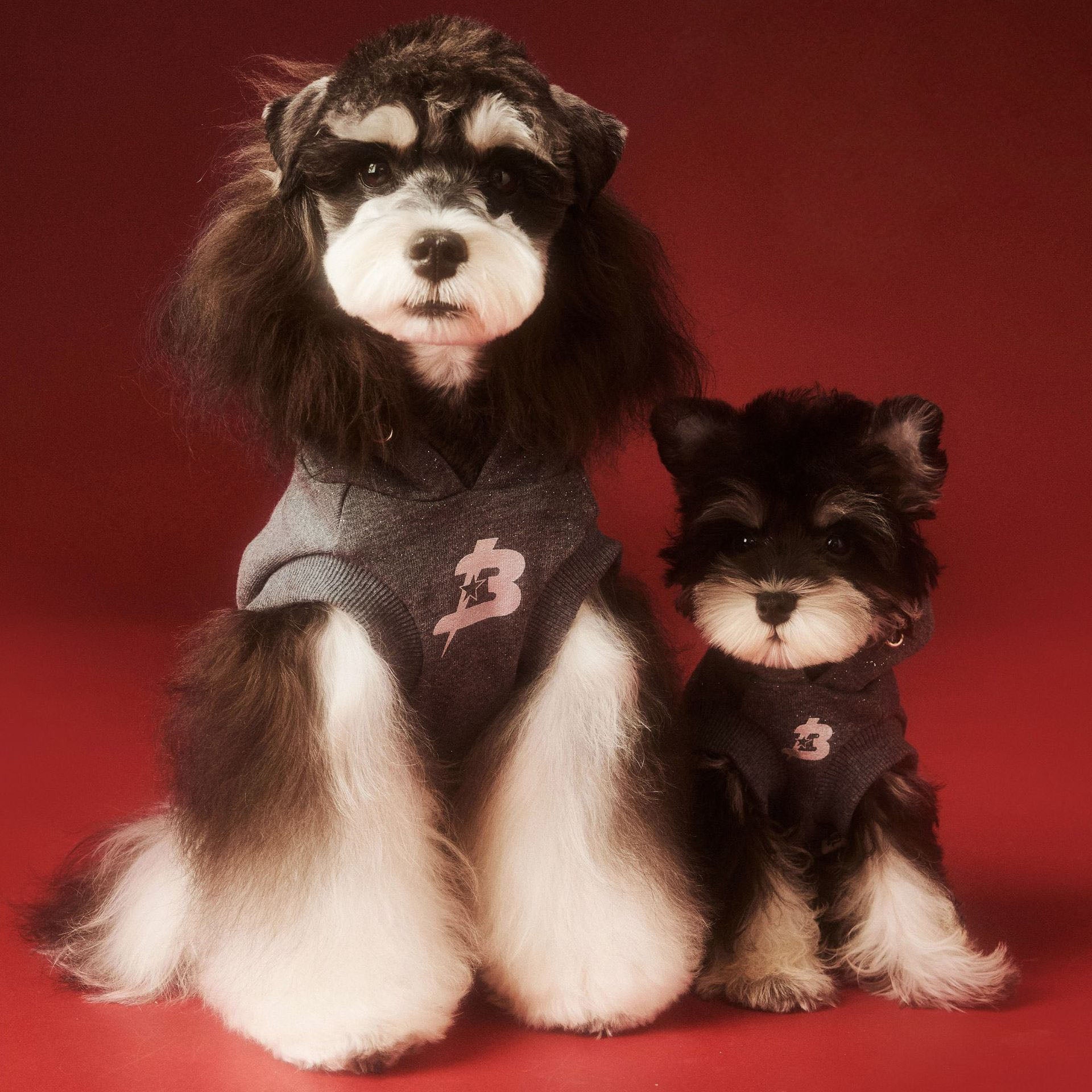 Charcoal Logo Hoodie for Dogs