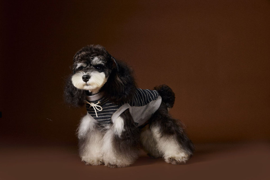 Striped Turtleneck Knit Vest