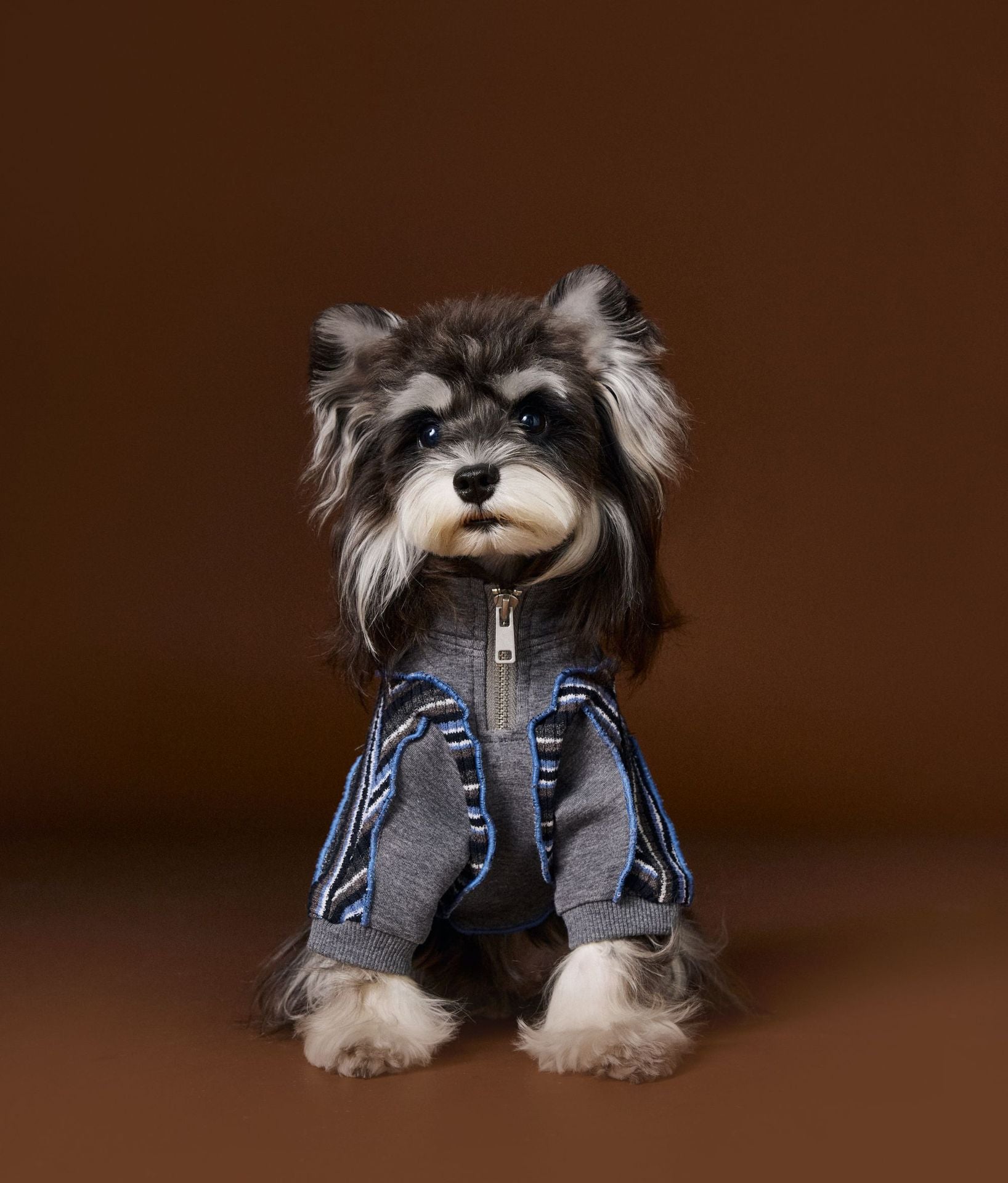 Colorblock Zip-Up Sporty Ruffle Sweatshirt