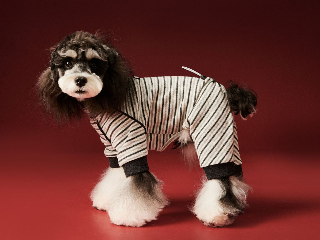 Striped Cozy Four-Leg Base Layer