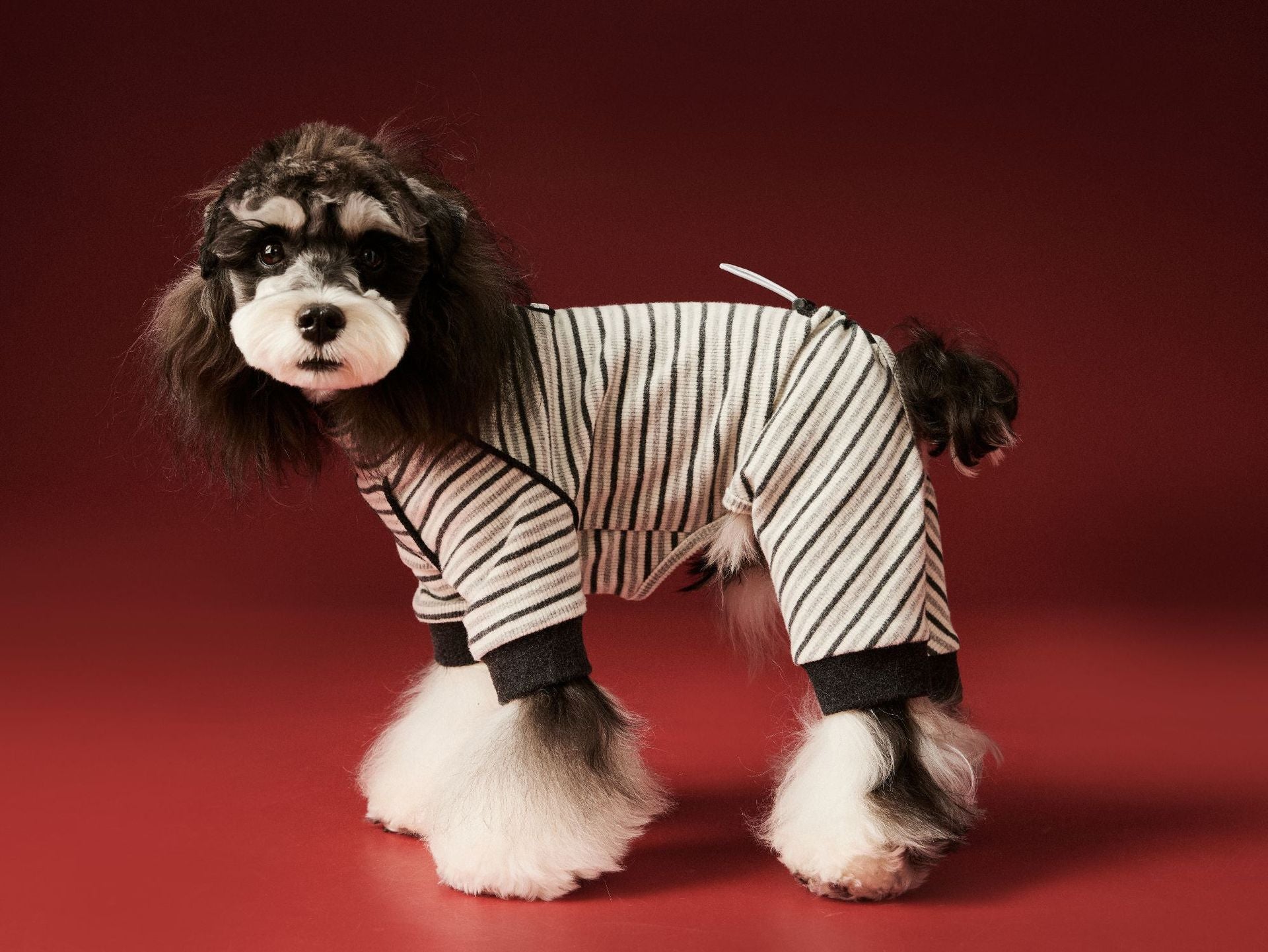 Striped Cozy Four-Leg Base Layer