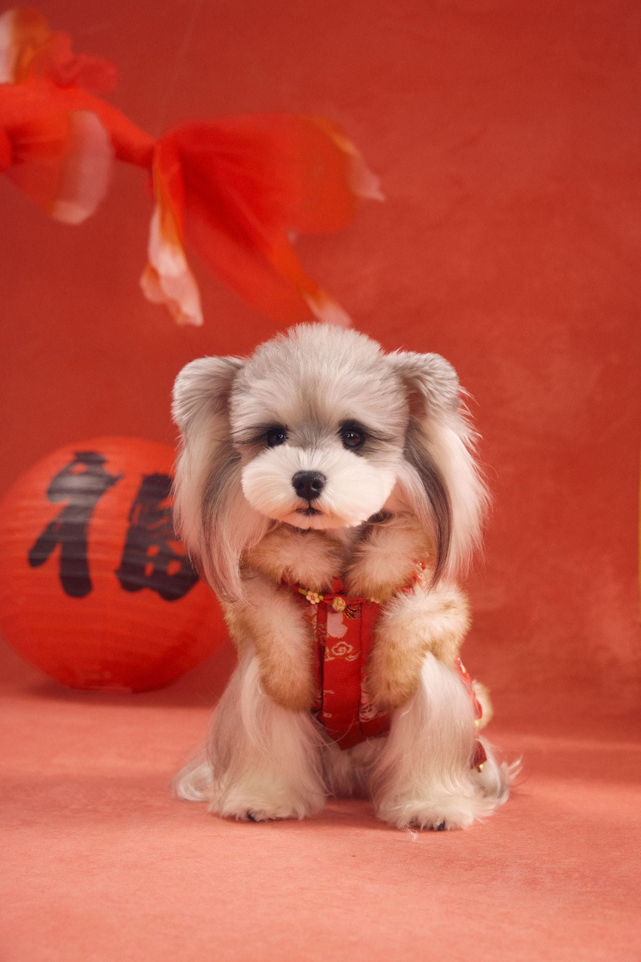 Furry Collar Pony Brocade Vest