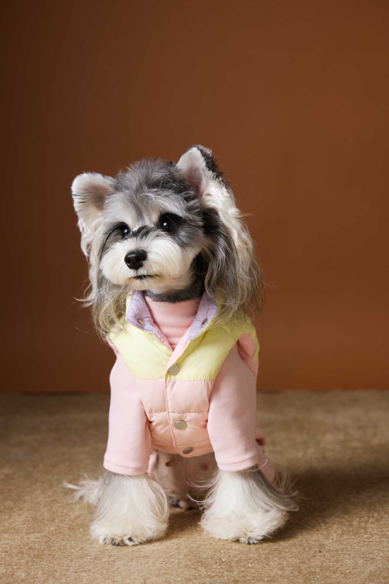 Colorblock Puffer Vest