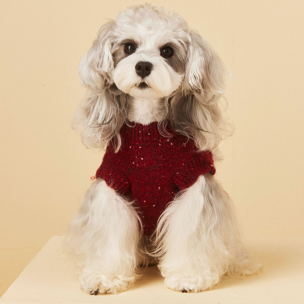 Red Knit Sweater with Puppy Patch