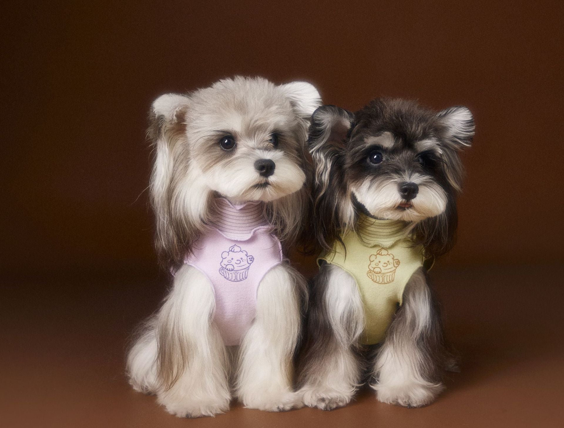 Ruffle Cupcake Dog Vest