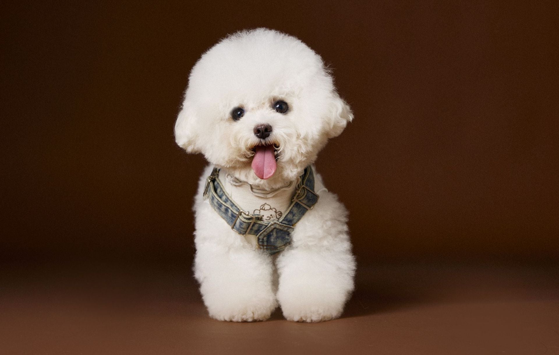 Denim Harness Overalls