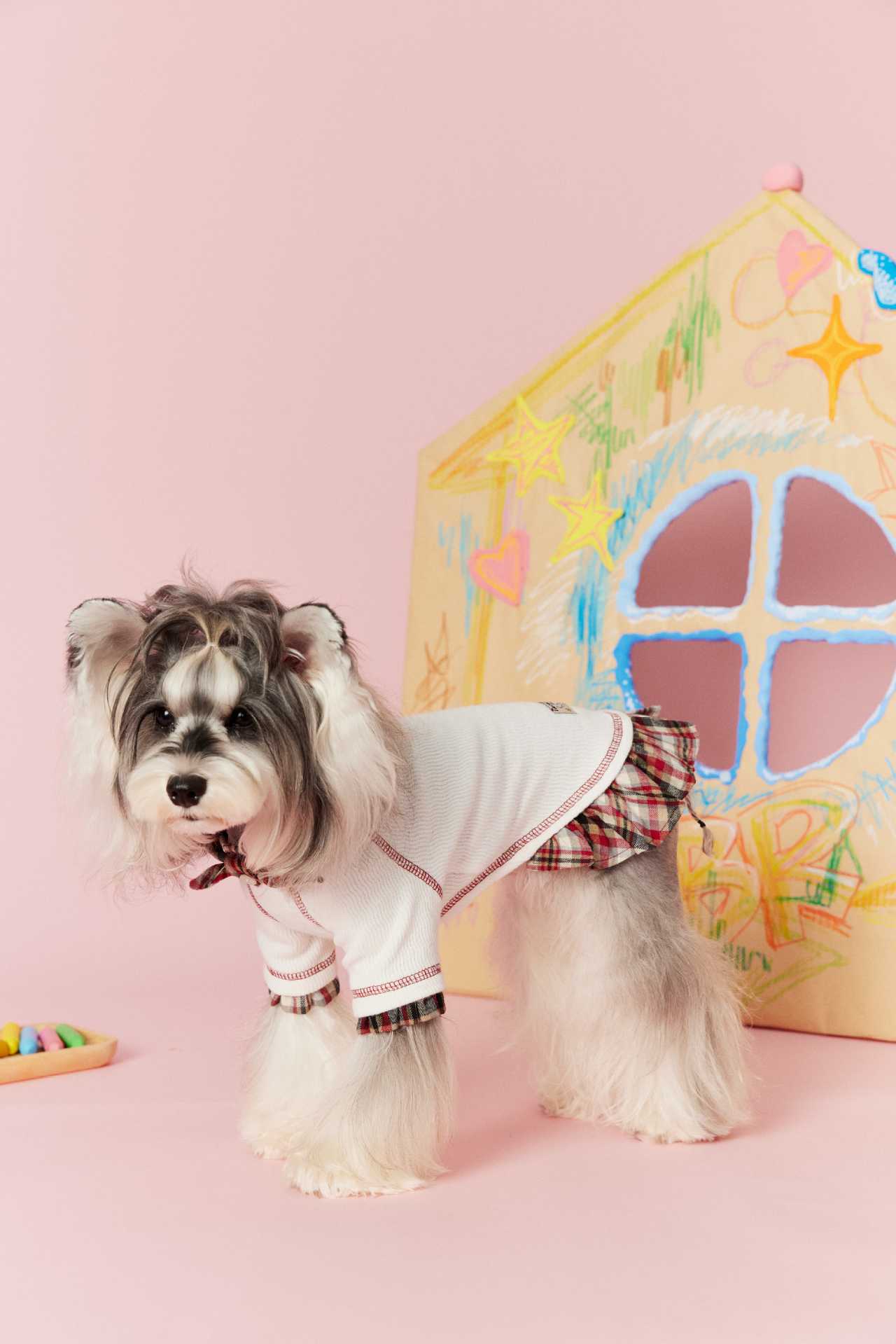 Plaid Doll Collar Knit Dress