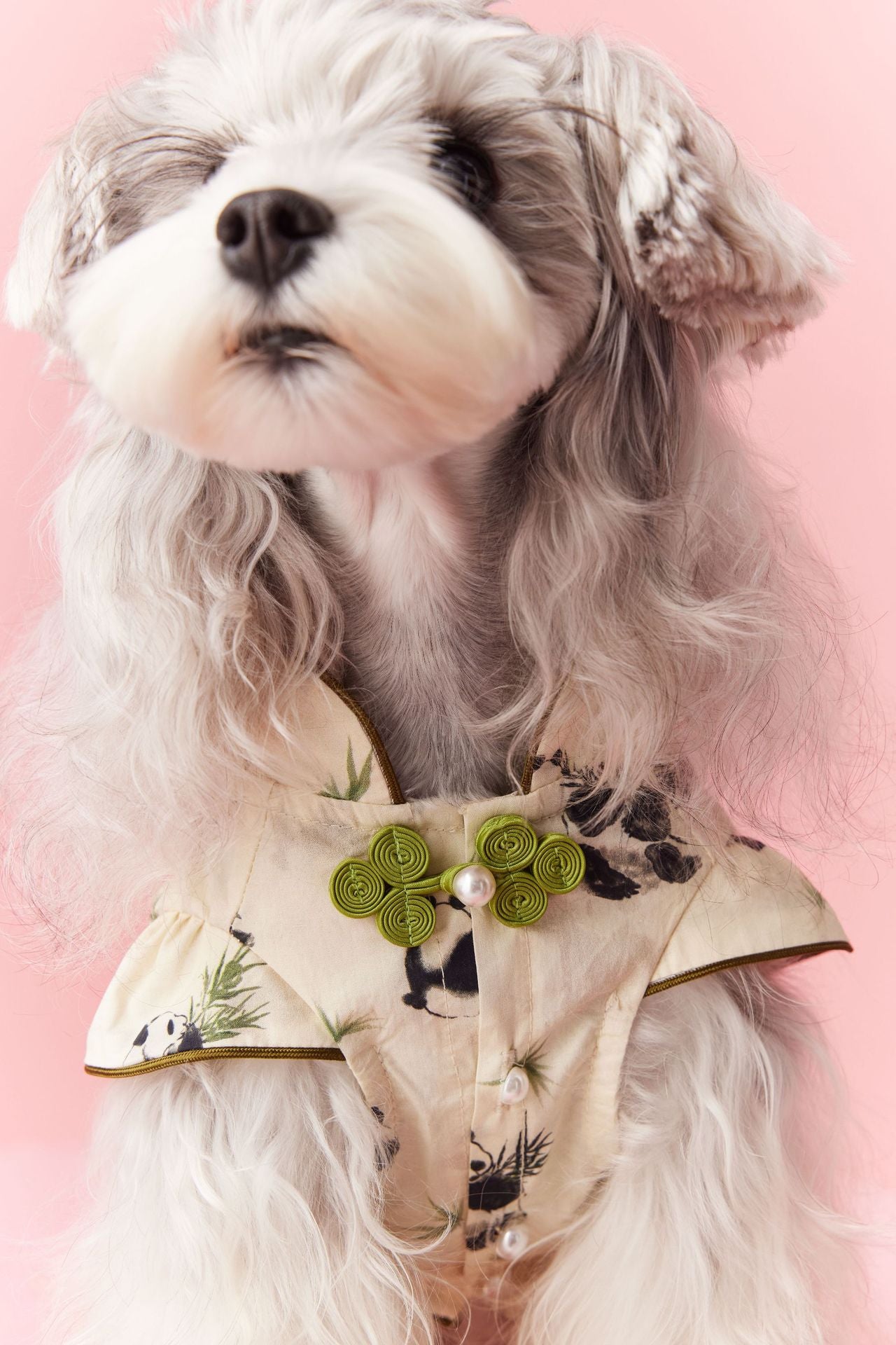 Panda Ruffle Cheongsam Dress