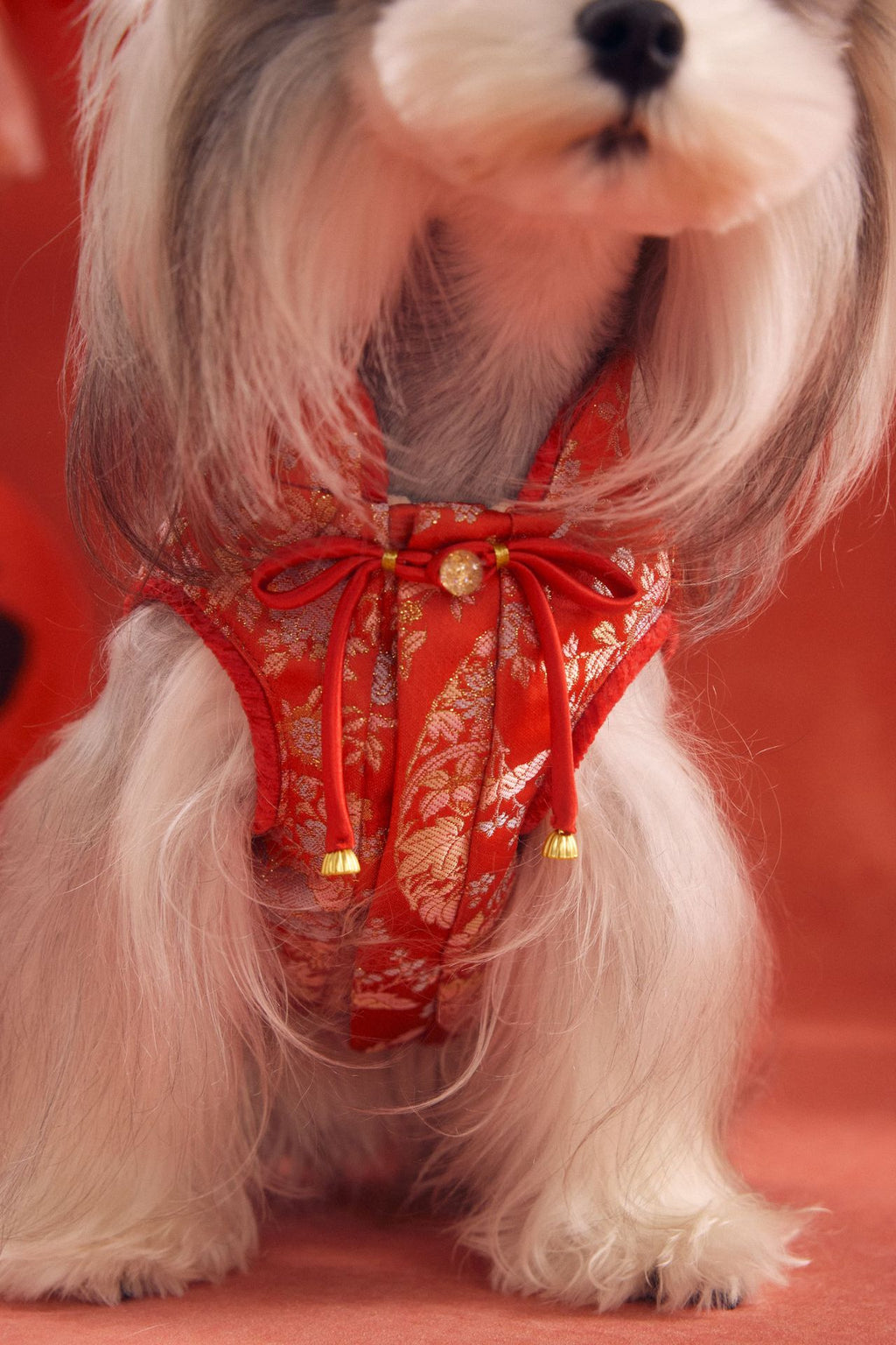 Lunar Brocade Cheongsam Dress