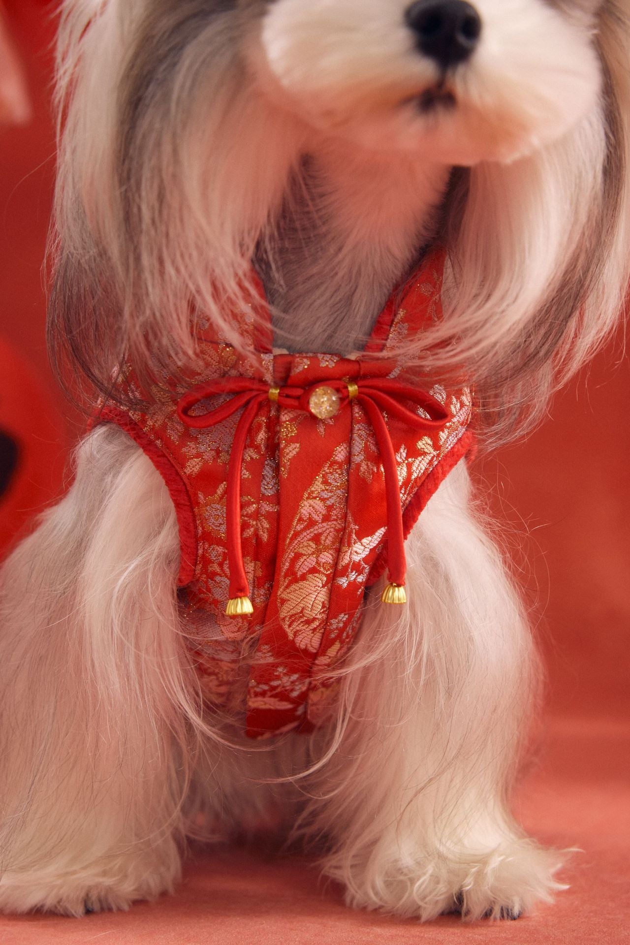 Lunar Brocade Cheongsam Dress