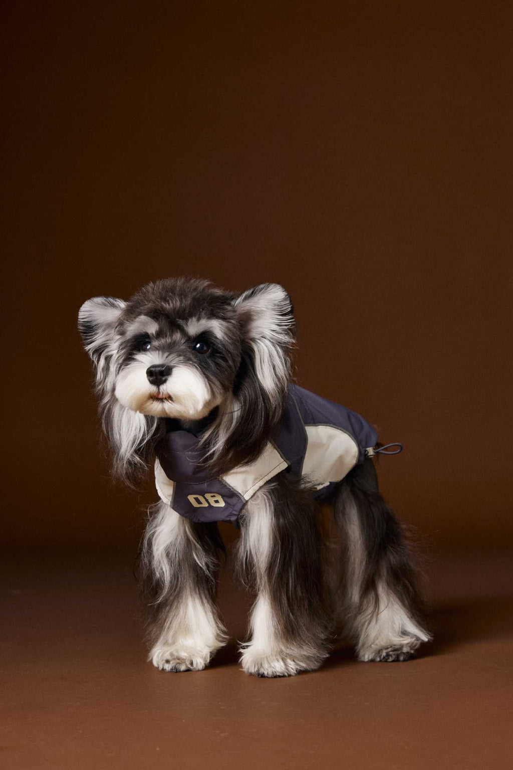 Sporty Sleeveless Dog Jacket