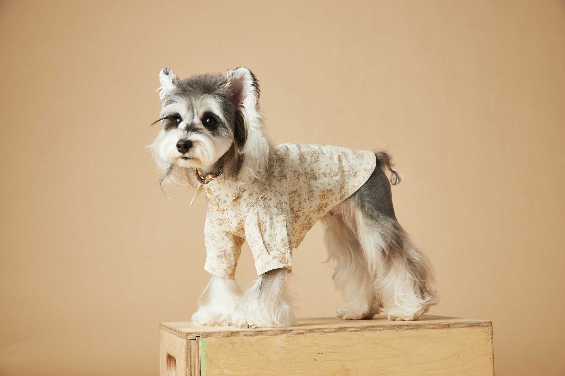 Floral Print Short Sleeve Shirt