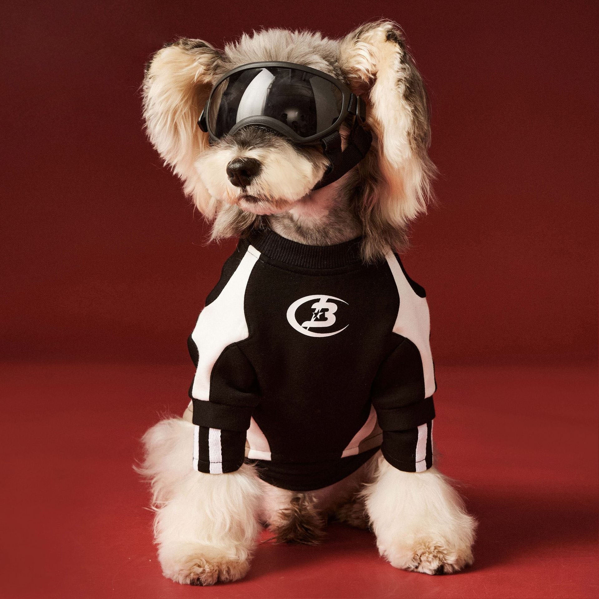 Moto Style Sweatshirt for Dogs