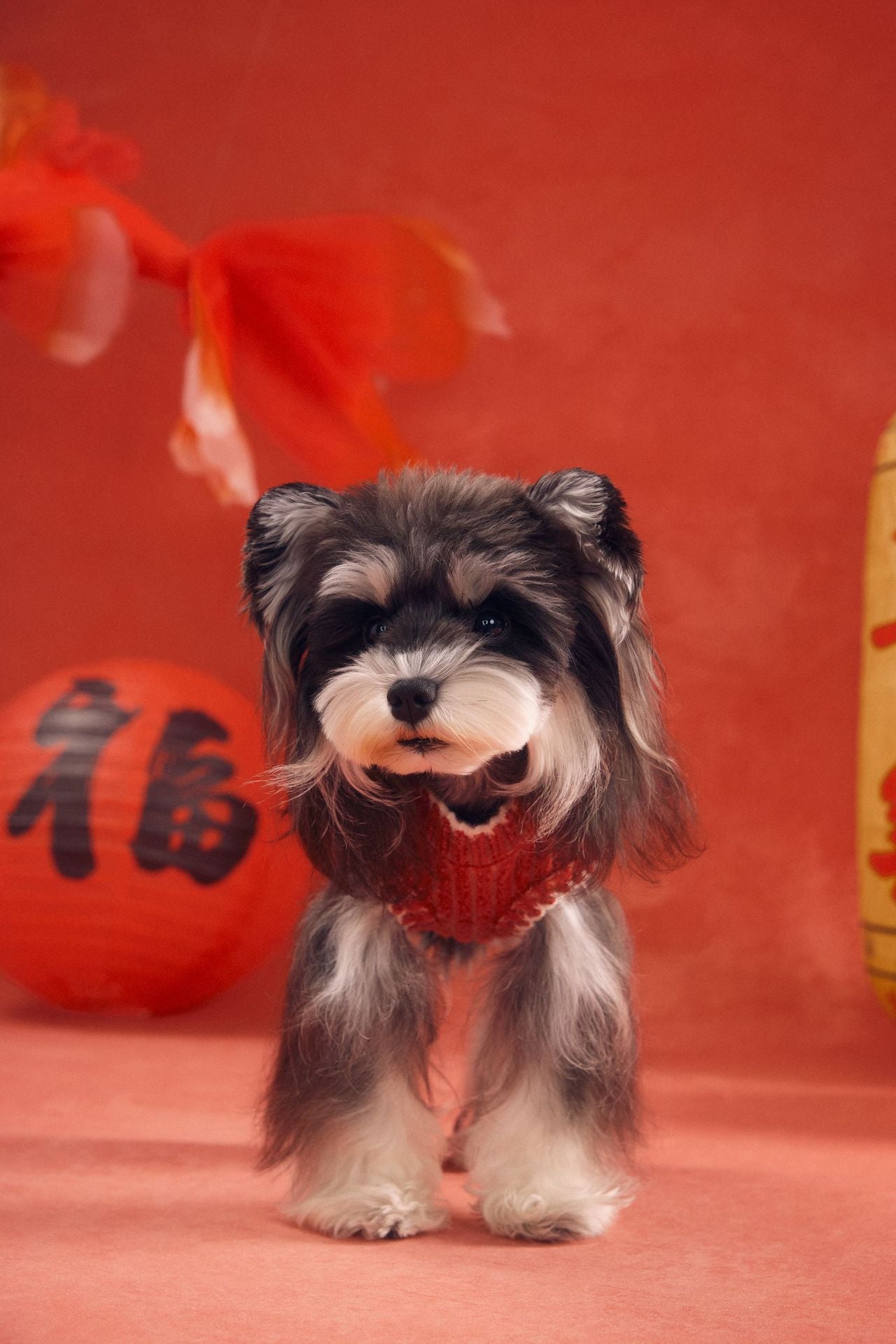 Hooded Pony Knit Vest