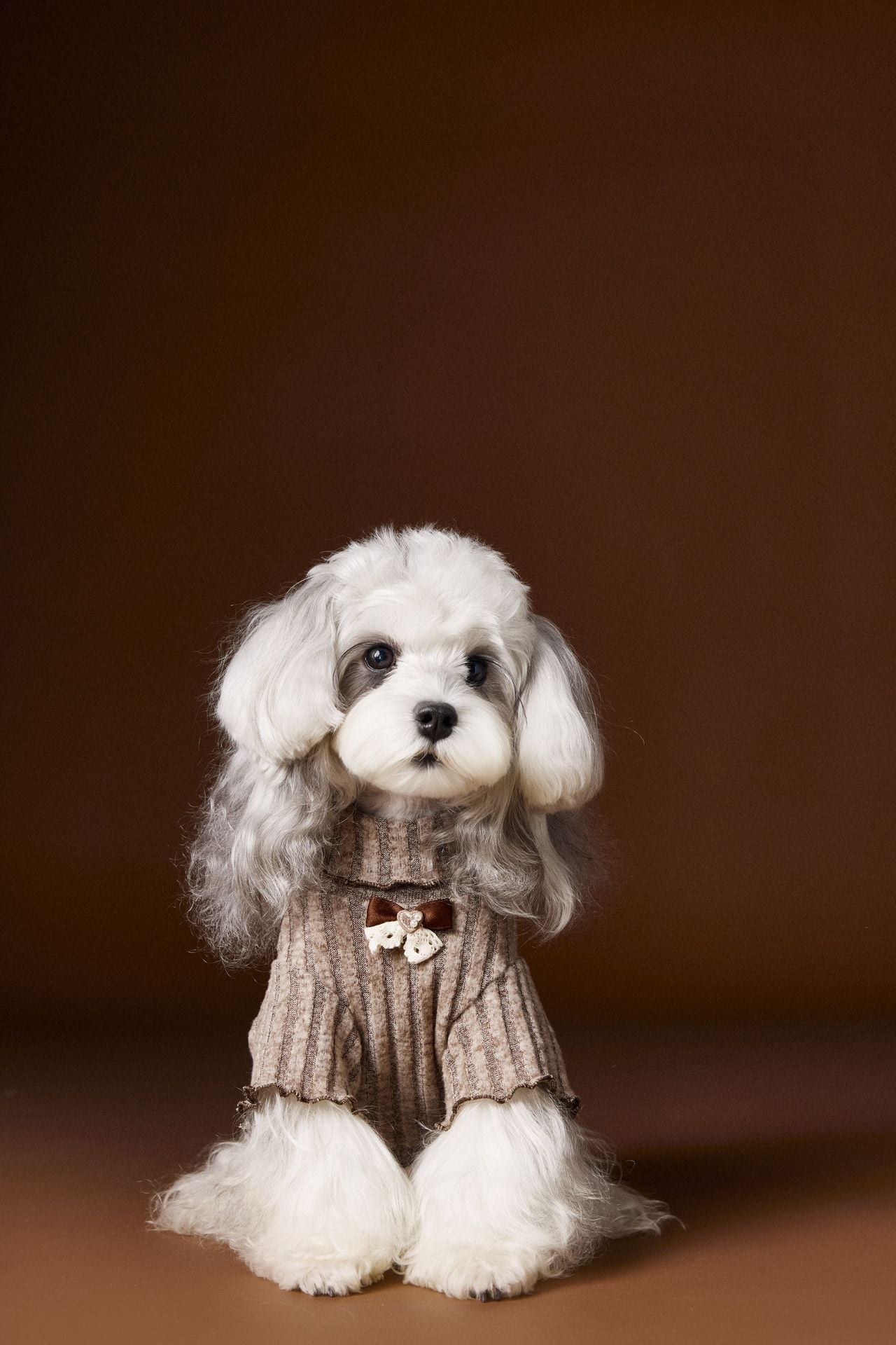 Ribbed Knit Turtleneck Tee with Lace Bow