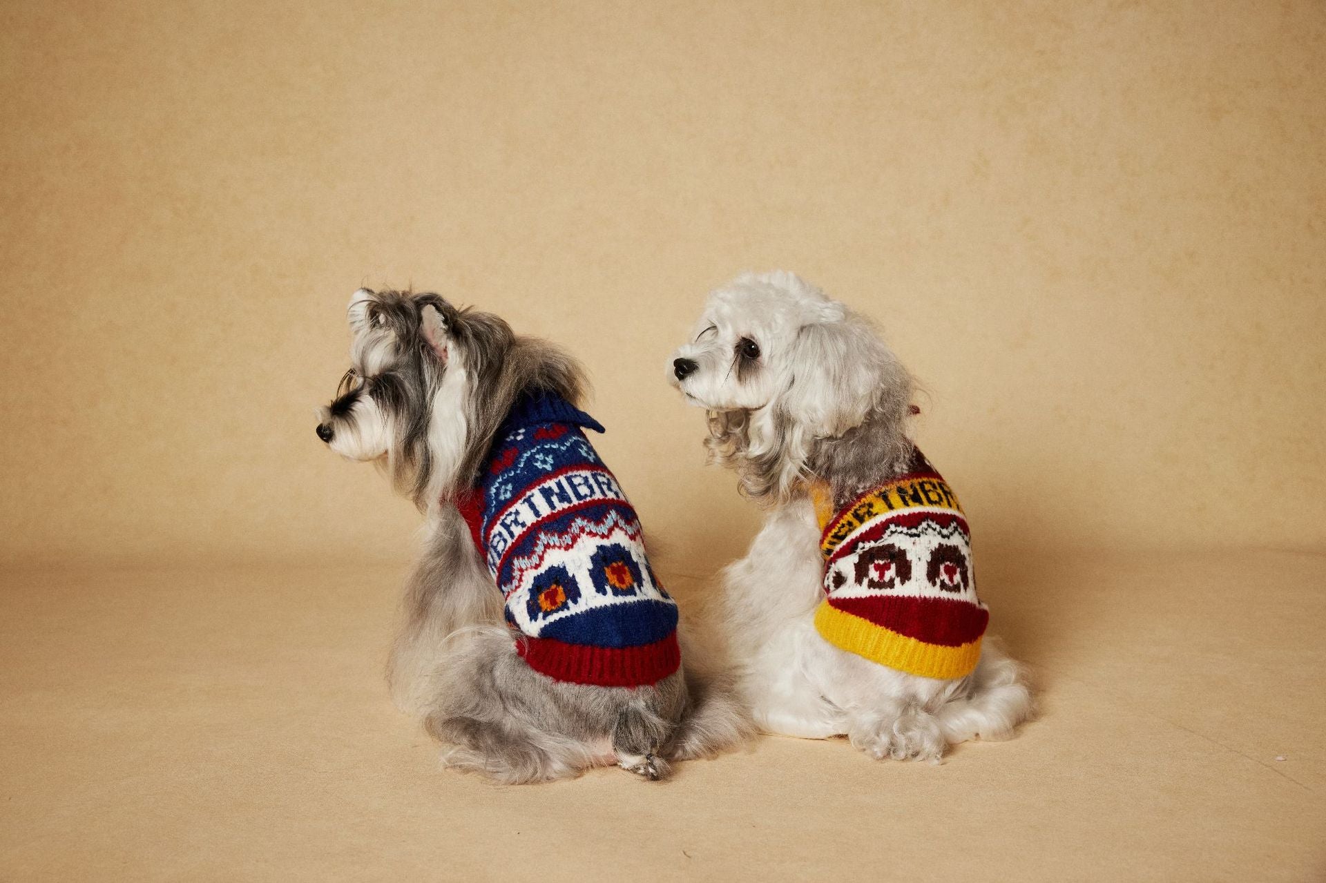 Fair Isle Knit Dog Sweater Vest