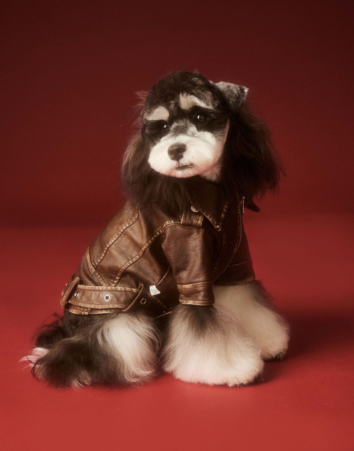 Vintage Biker Faux Leather Jacket