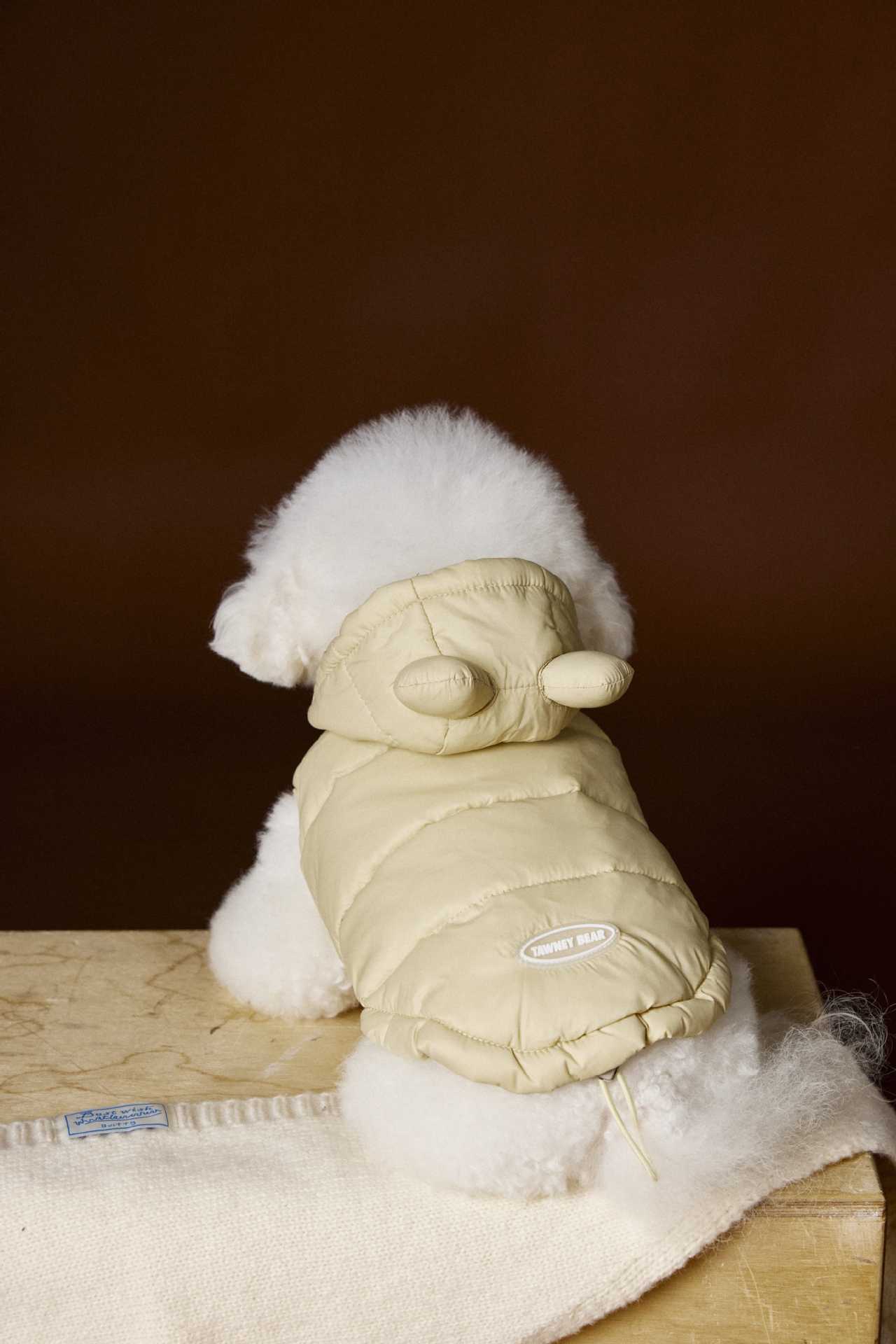 Cozy Bear-Ear Puffer Vest