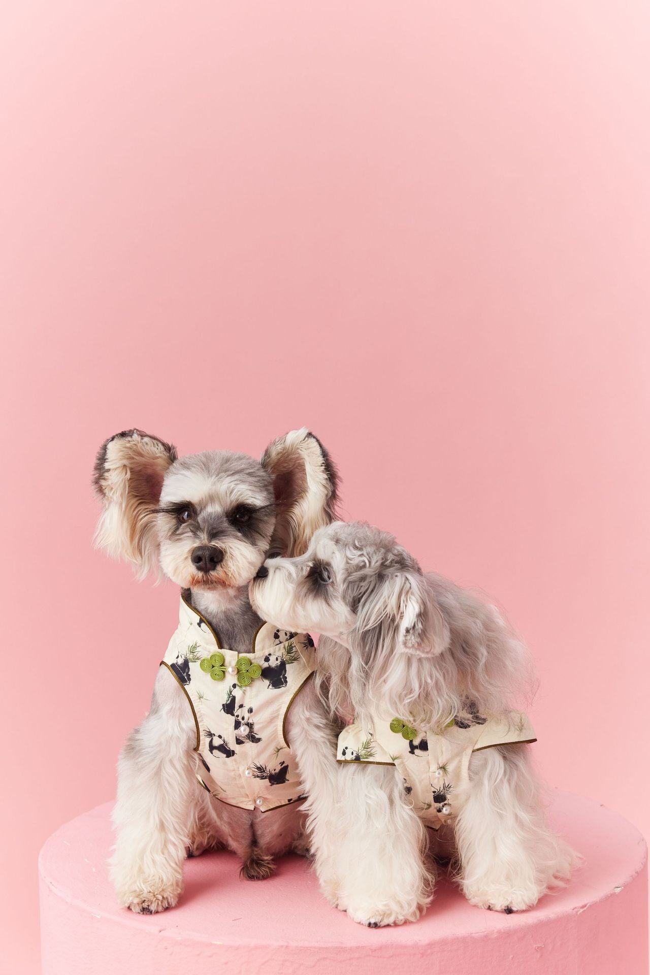 Panda Brocade Cheongsam Vest