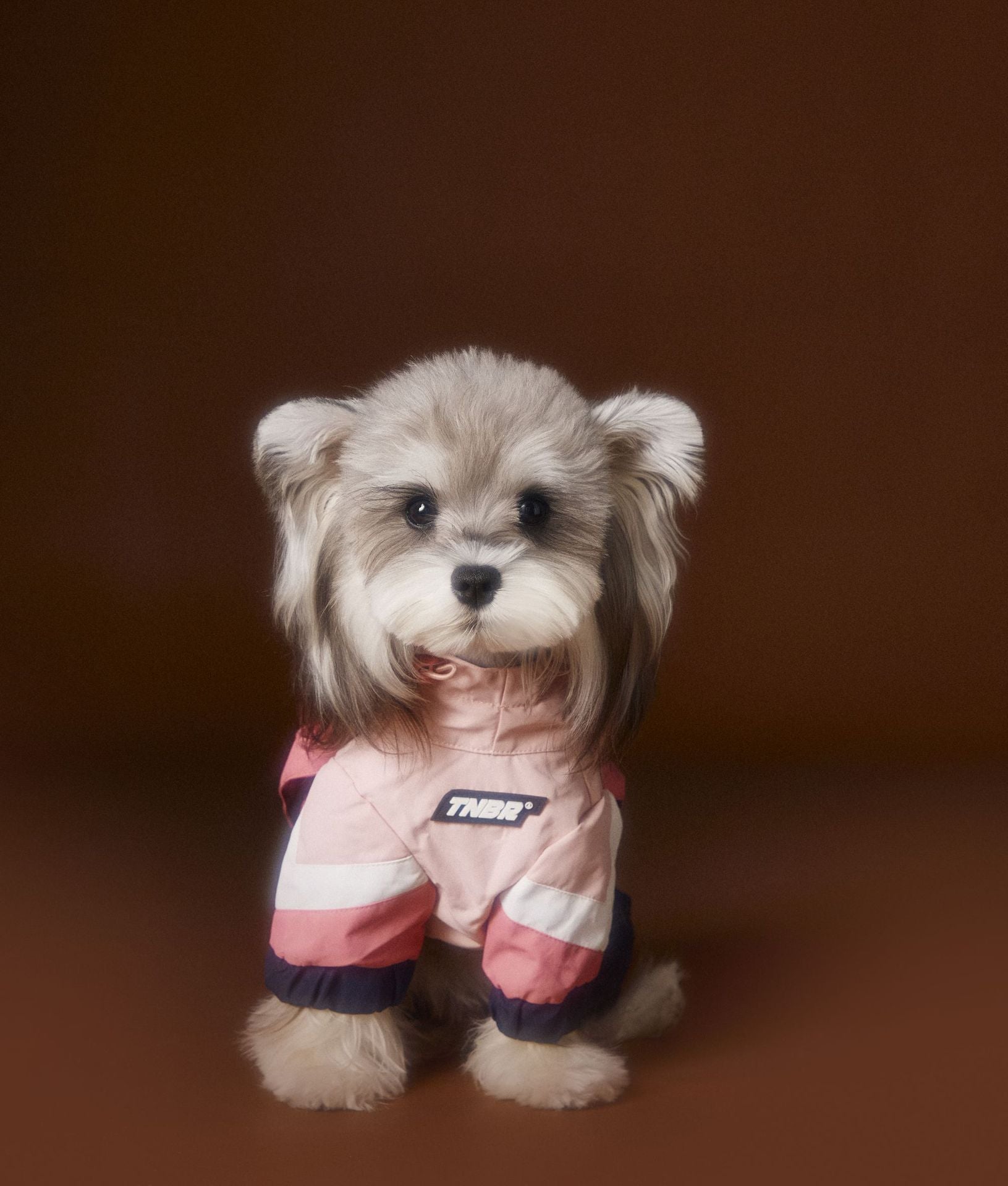 Colorblock Windbreaker Jumpsuit