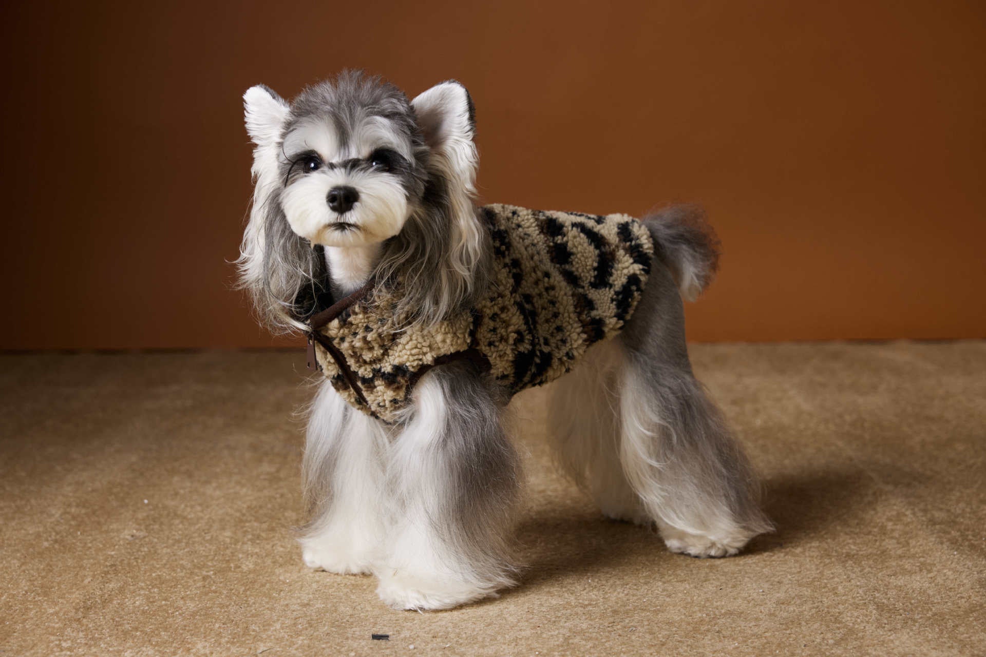 Fair Isle Fleece Vest