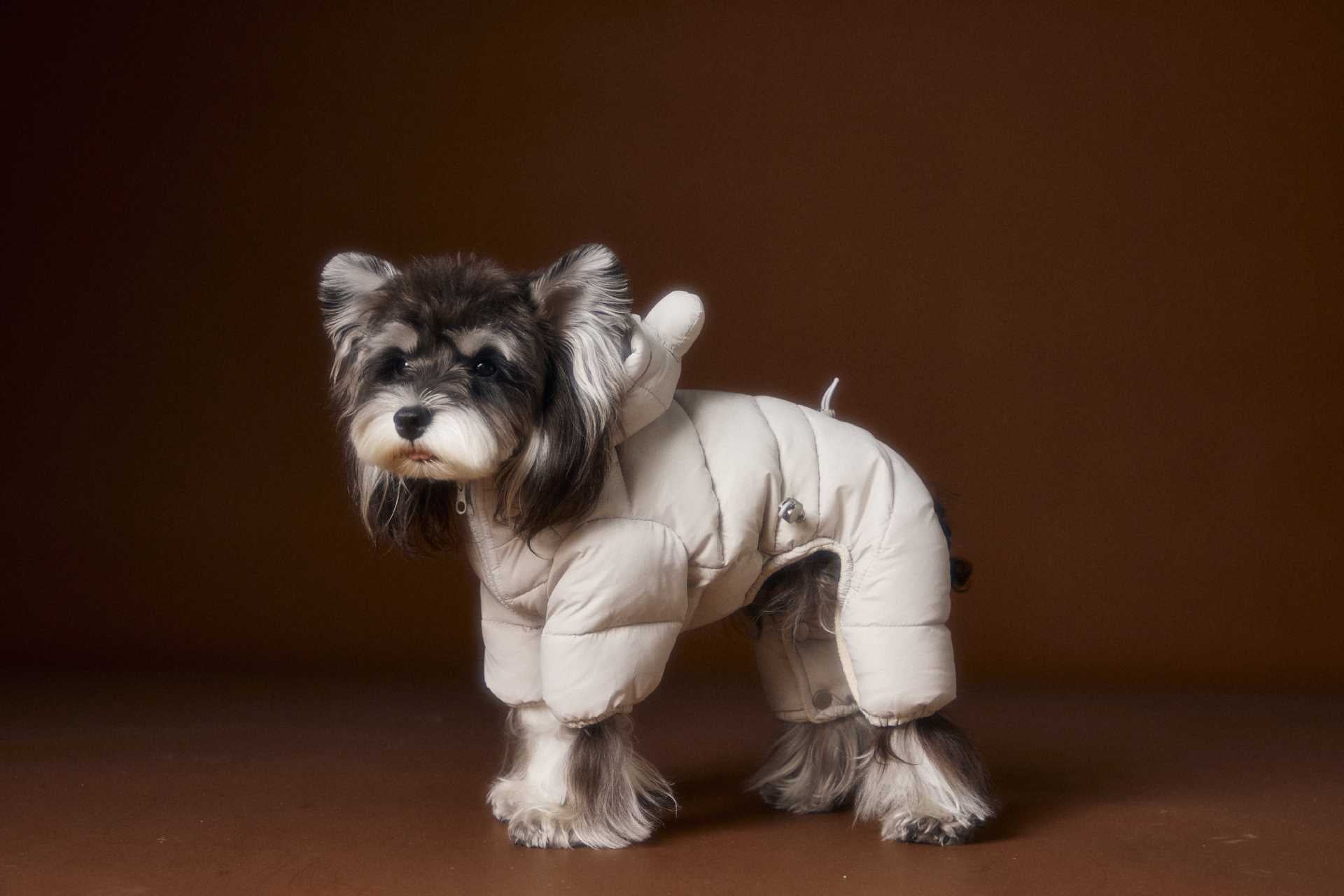 Teddy Ear Puffer Jumpsuit