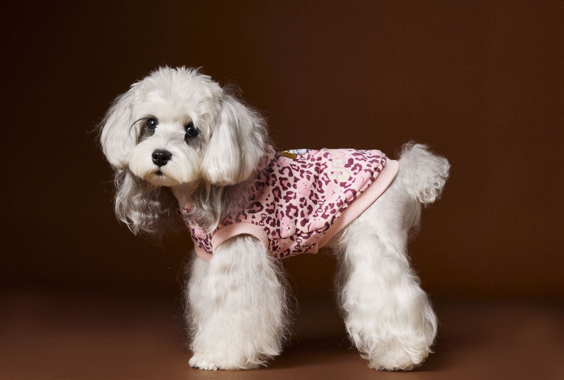 Leopard Print Dog Hoodie Vest
