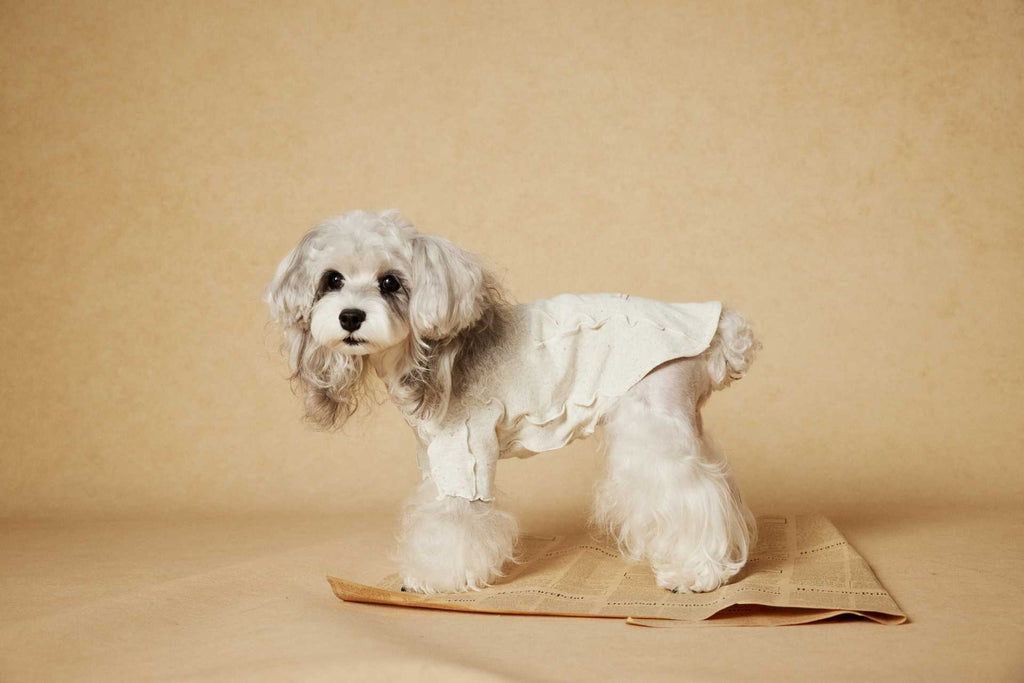 Ruffle Edge Dog Shirt
