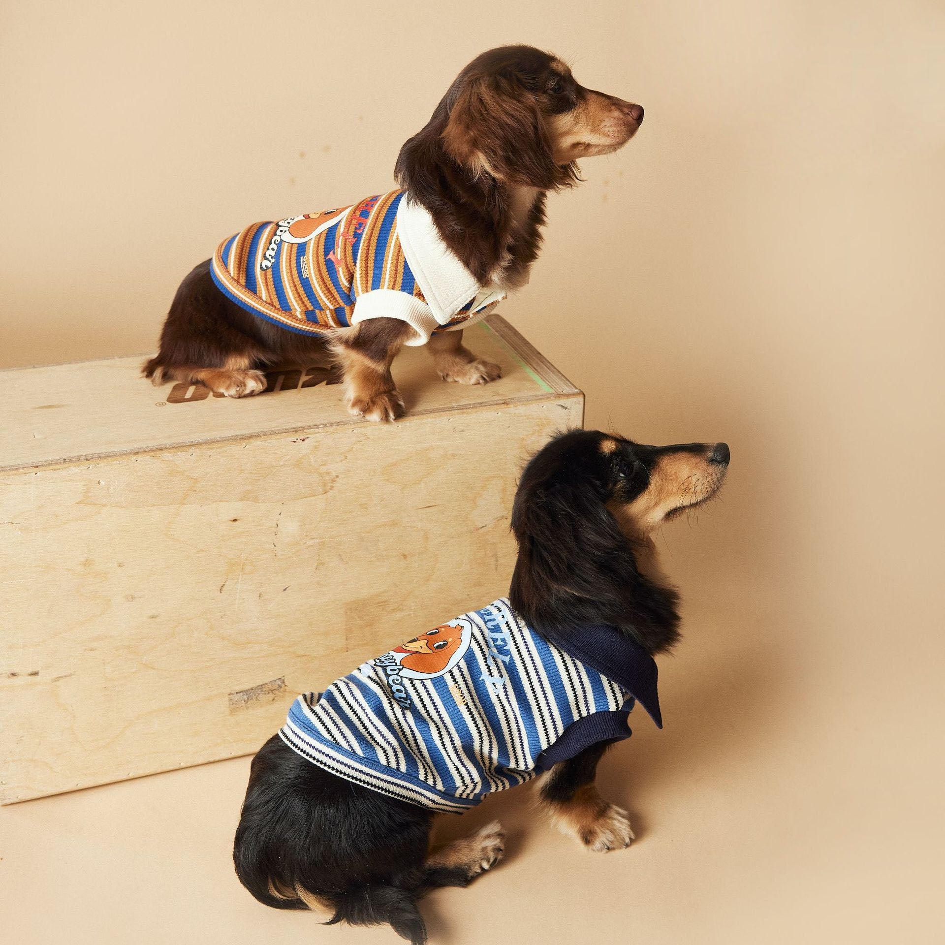 Playful Pup Striped Vest