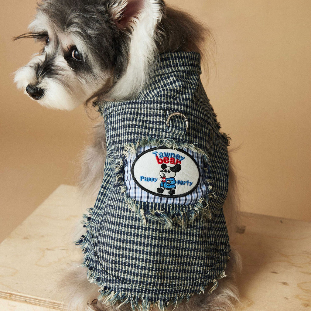 Vintage Plaid Dog Vest with Fringe and Embroidered Patch