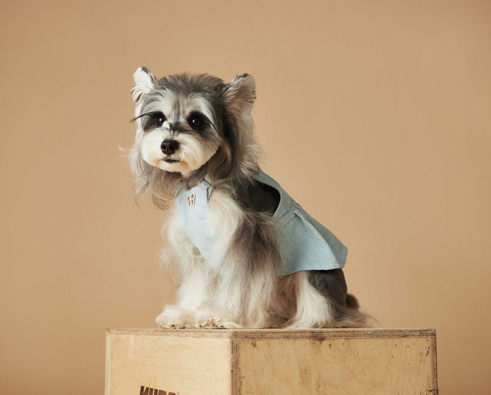 Washed Denim Harness Dress