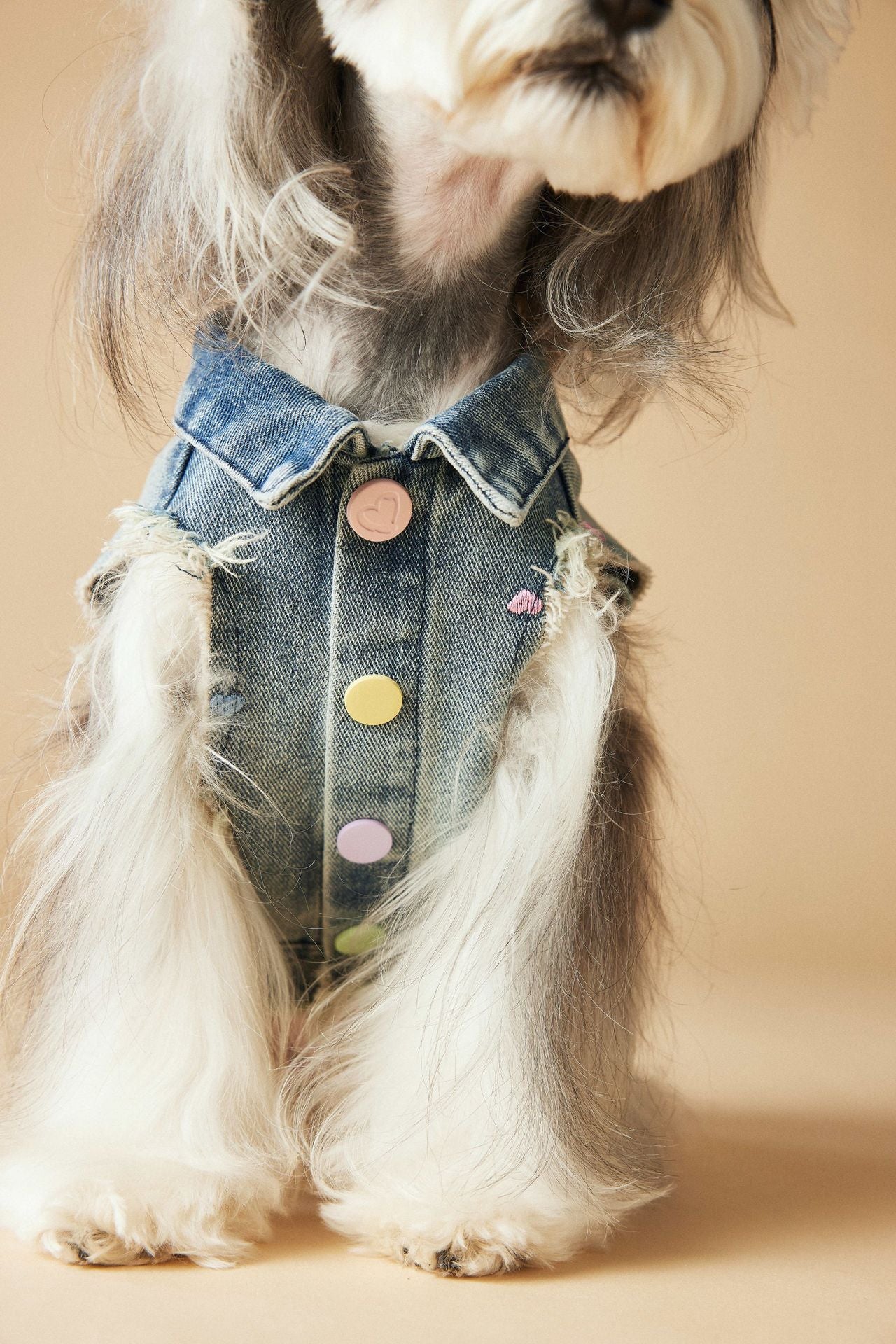 Retro Fringe Denim Vest