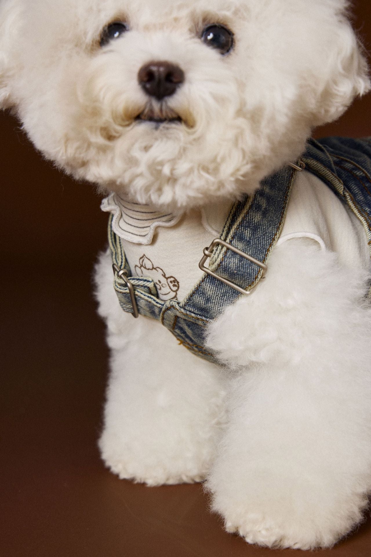 Denim Harness Overalls