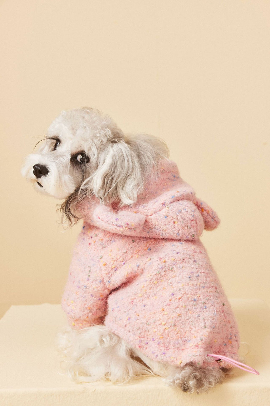 Teddy Ear Wool Hoodie