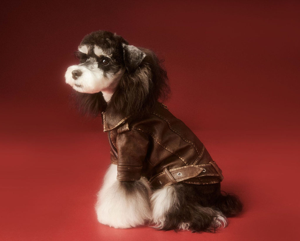 Vintage Biker Faux Leather Jacket