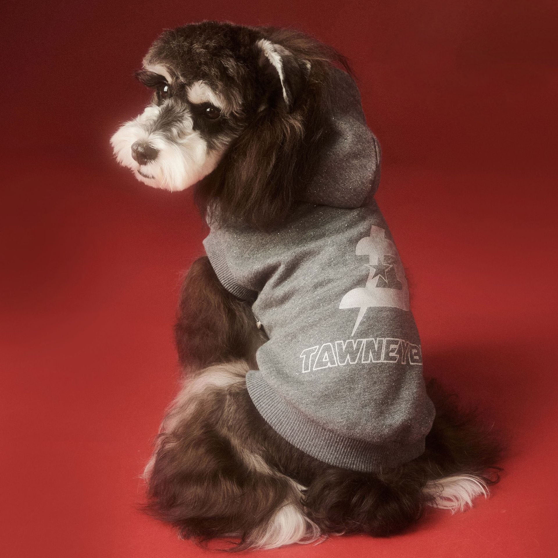 Charcoal Logo Hoodie for Dogs