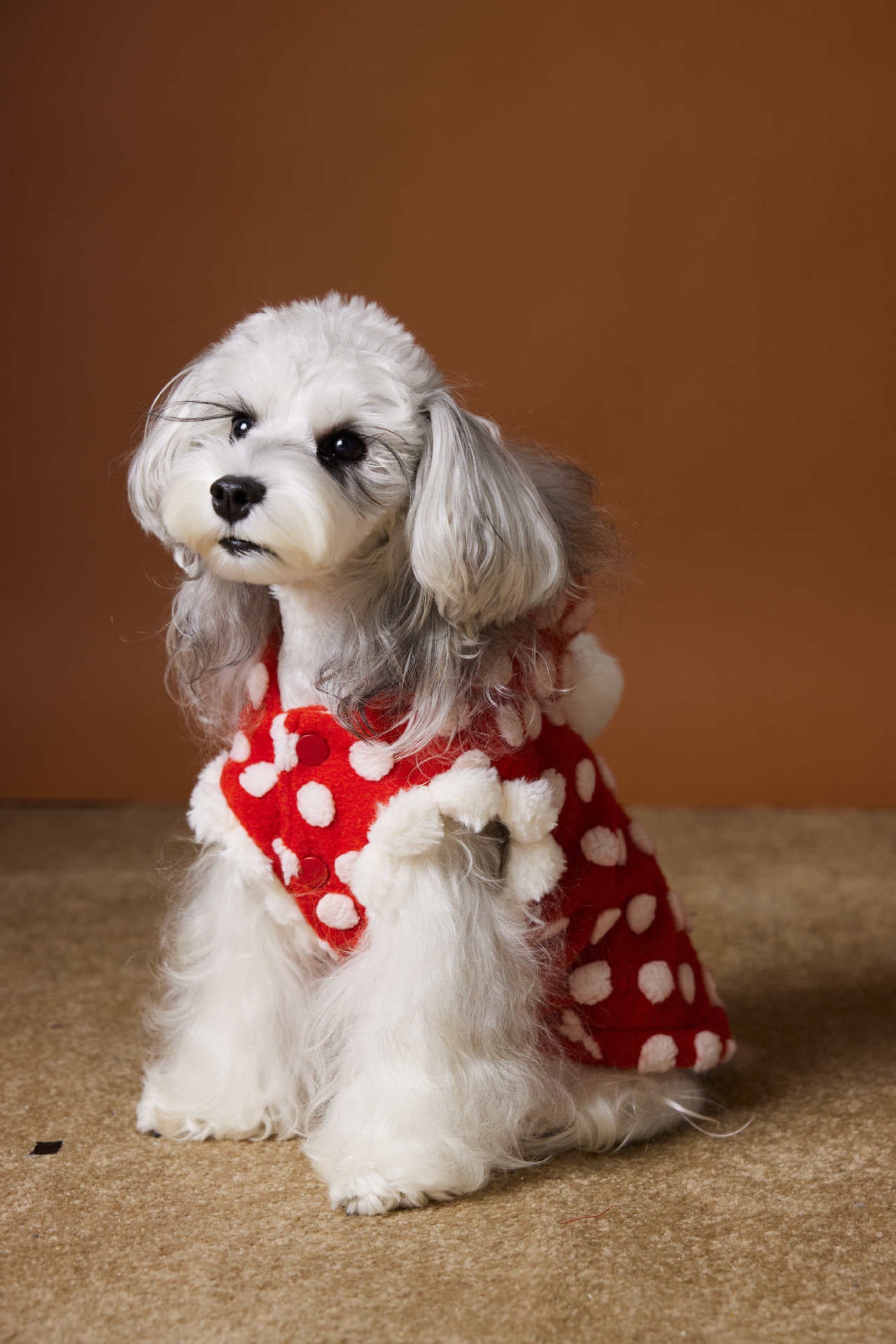 Polka Dot Hooded Fleece Vest