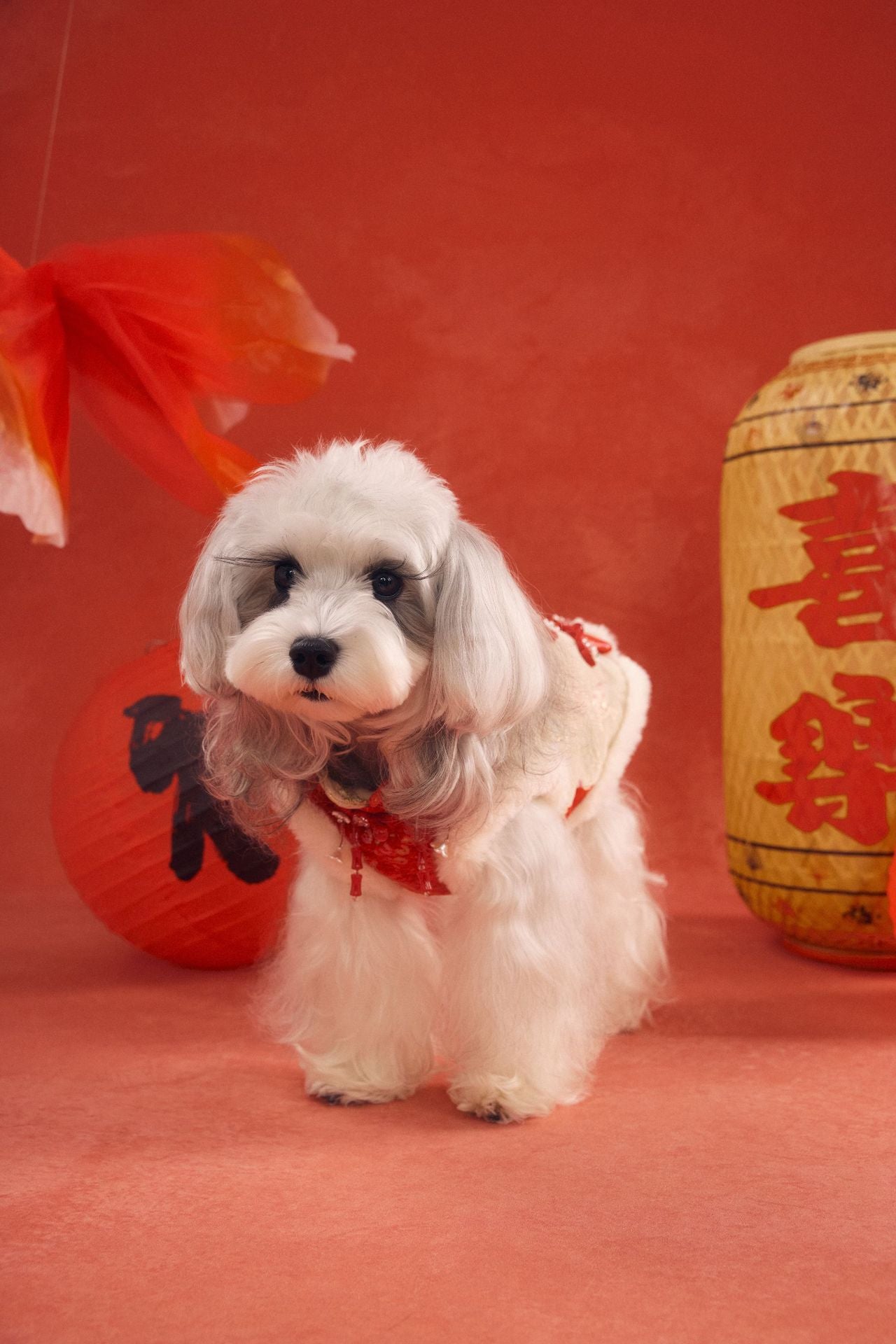Festive Goldfish Brocade New Year Vest