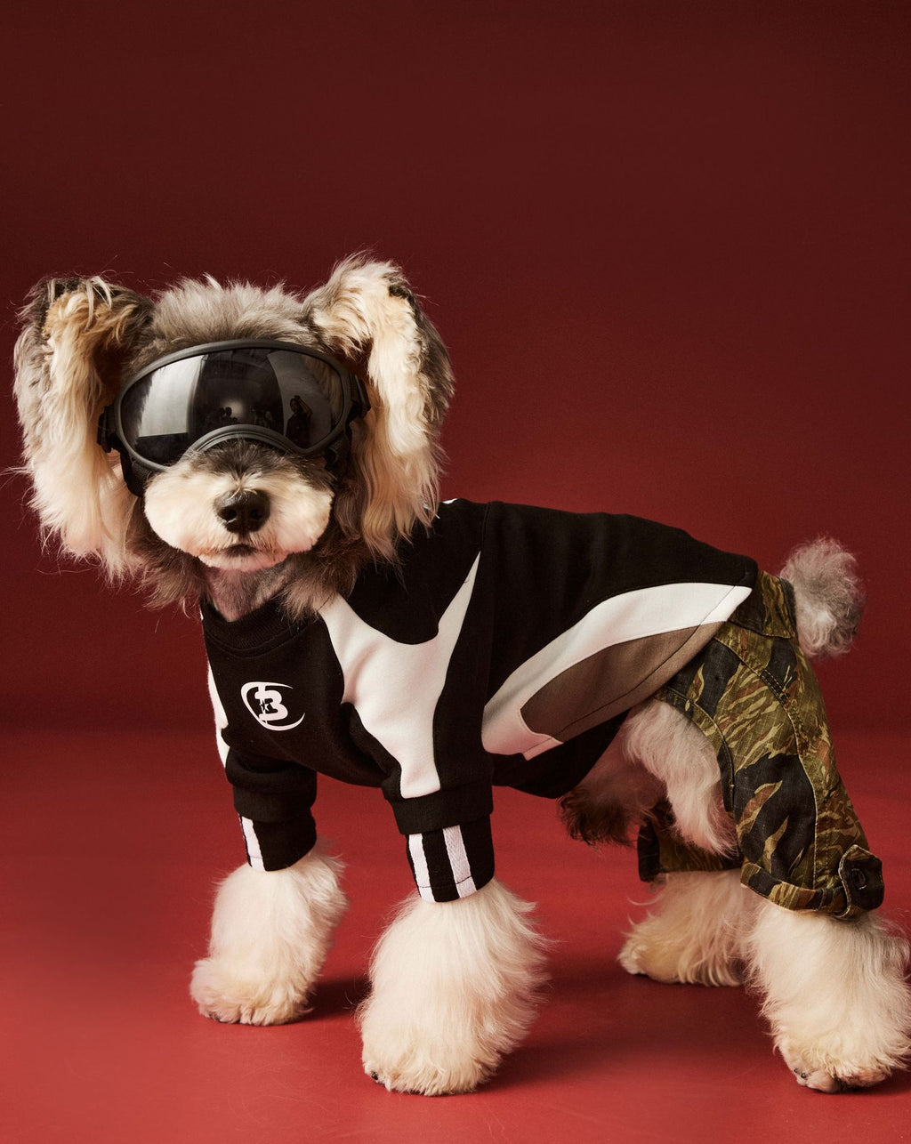 Moto Style Sweatshirt for Dogs