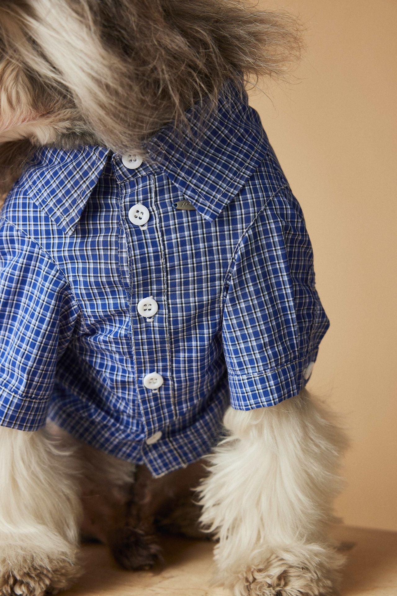 Plaid Button-Up Dog Shirt with Collar